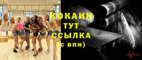 МДПВ Абинск
