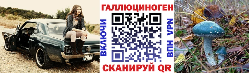 цена наркотик  Никольск  Псилоцибиновые грибы прущие грибы 